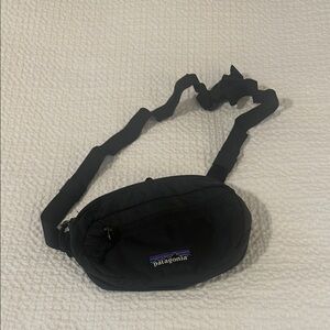 Patagonia Fanny Pack
